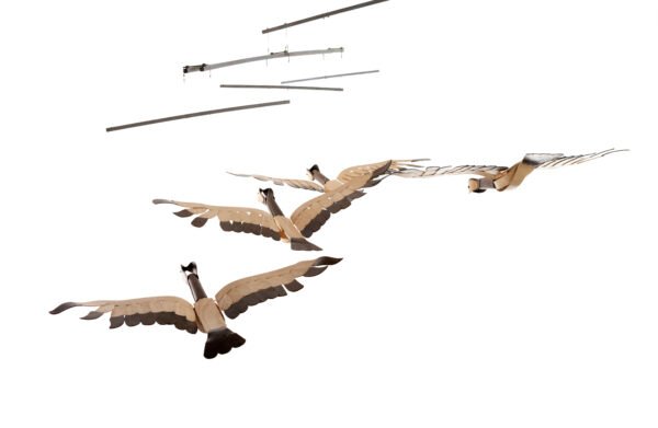 Large Goose Flock - Image 4