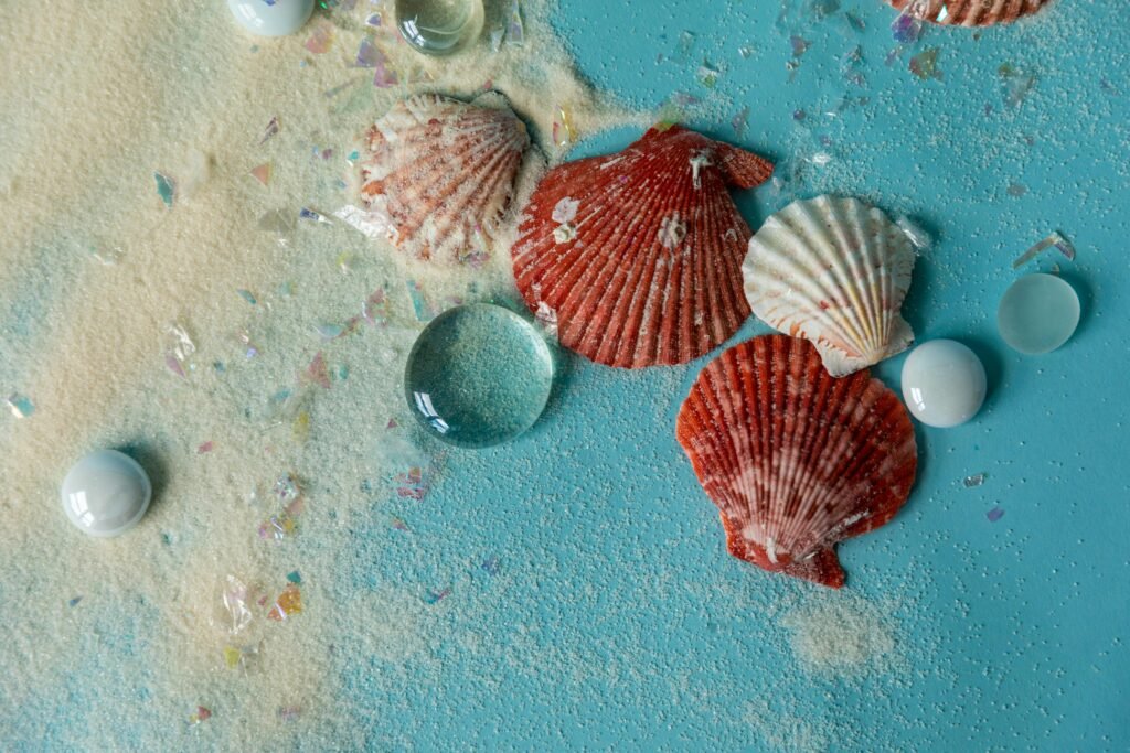 Handful of small white shells with waves in the background.”