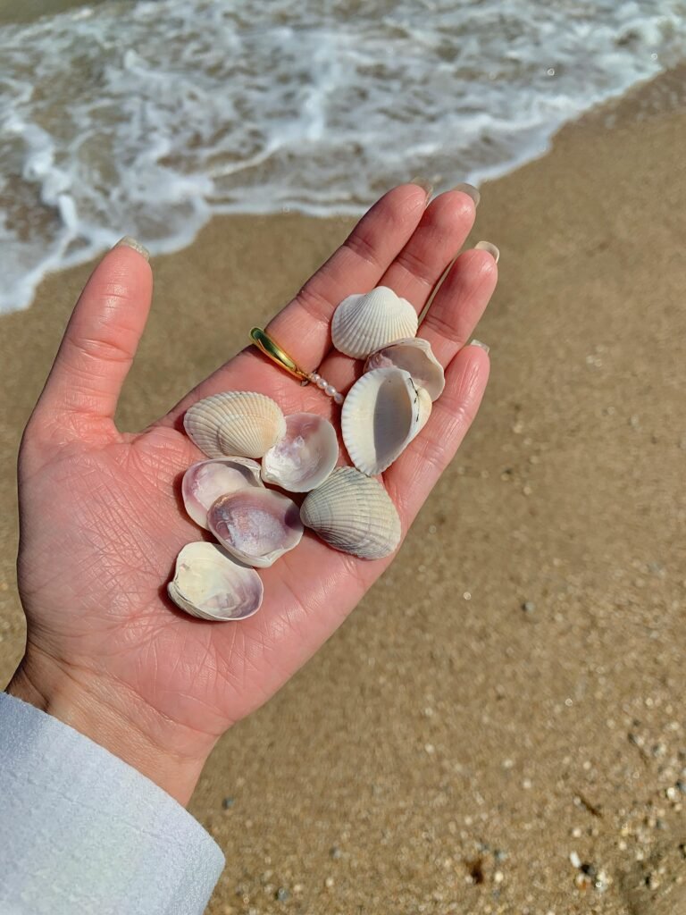 Assorted scallop shells and sea glass beads on sand and aqua background. Sea Jewellery